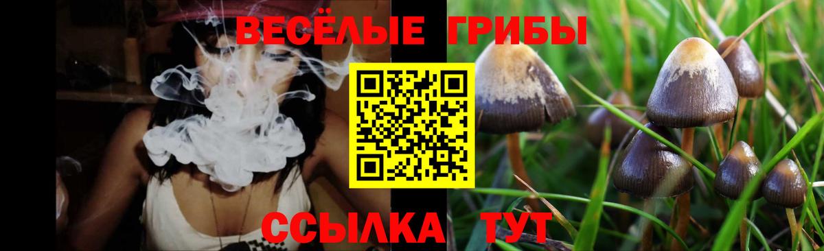 Псилоцибиновые грибы Magic Shrooms Оренбург